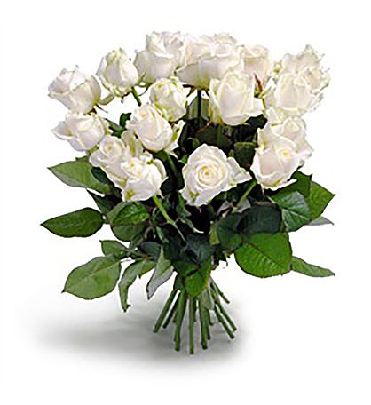 Wonderful White Roses